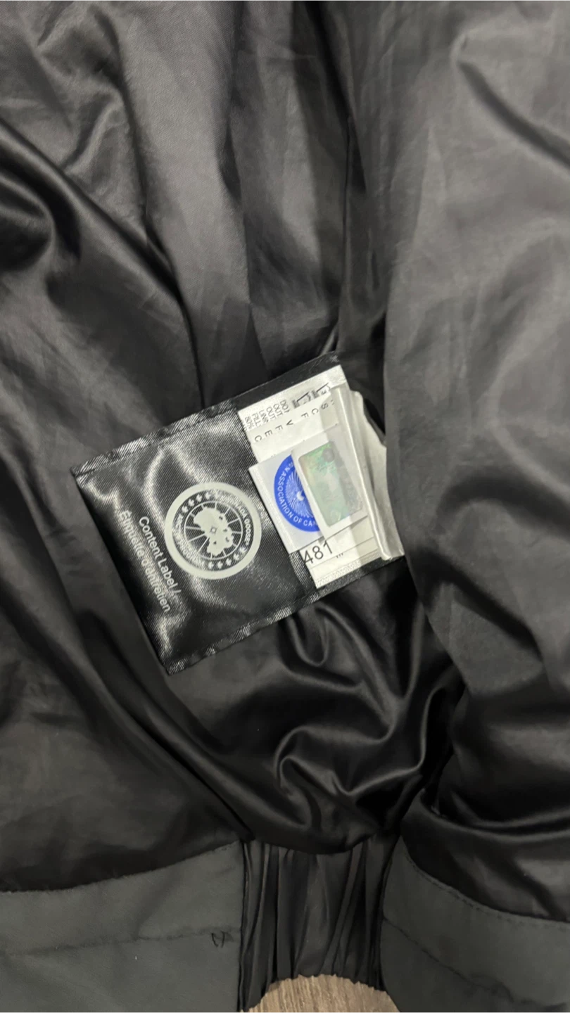 Canada goose - photo 3