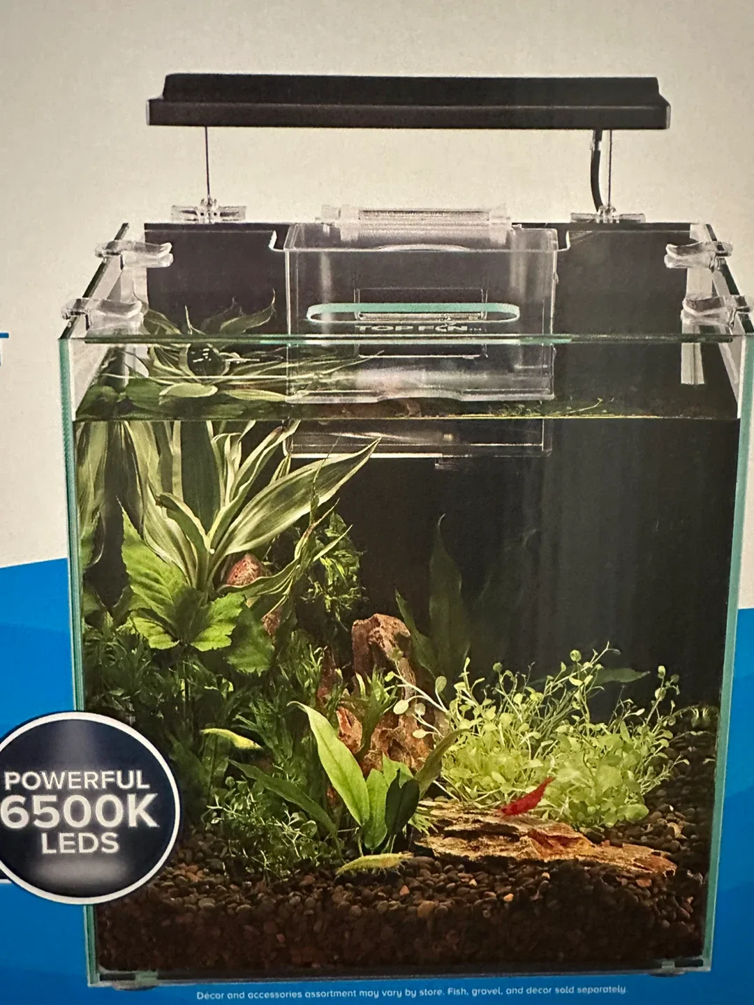 Top Fin Aquarium with 6500K LEDs