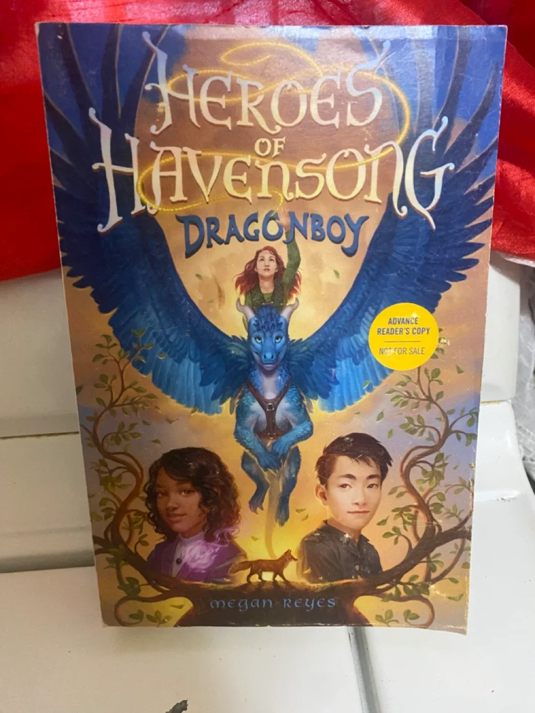 Heroes of Havensong: Dragonboy by Megan Reyes thumbnail