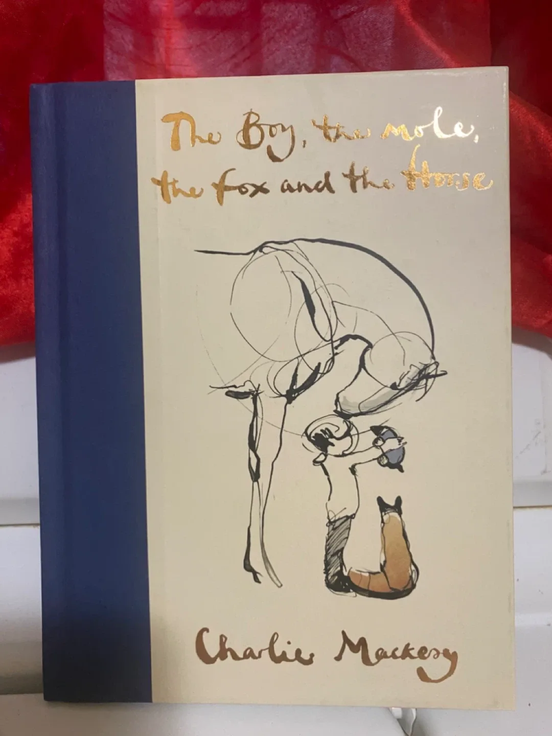 The Boy, the Mole, the Fox and the Horse by Charlie Mackesy thumbnail