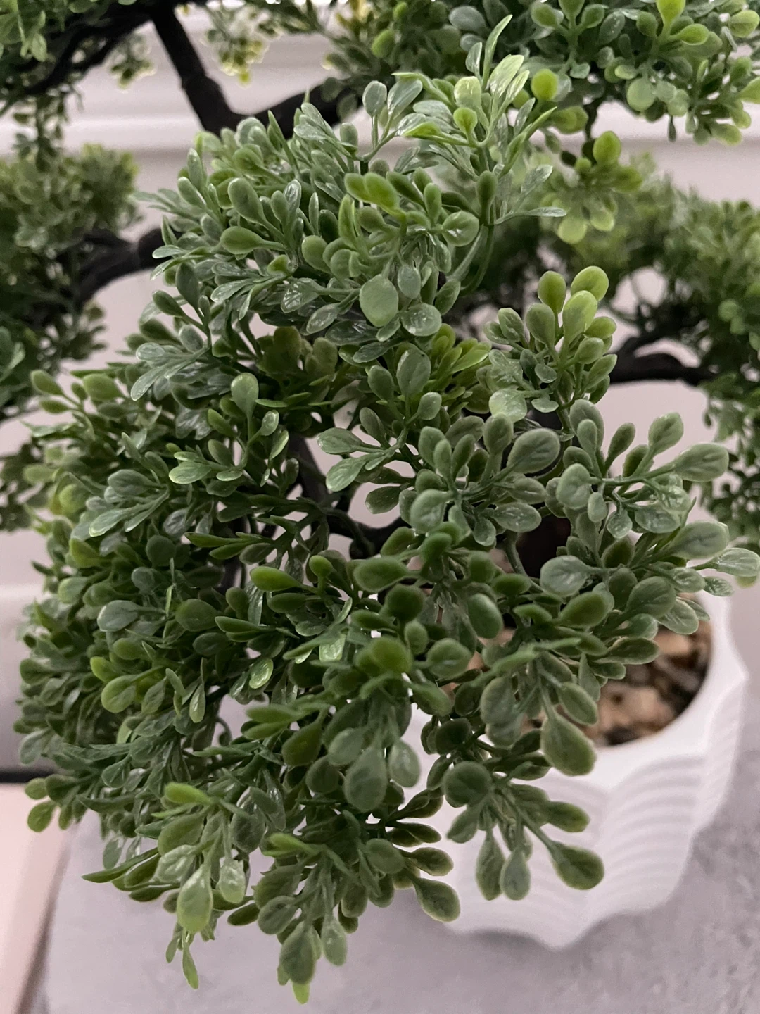 Artificial Bonsai Tree in White Pot - photo 3