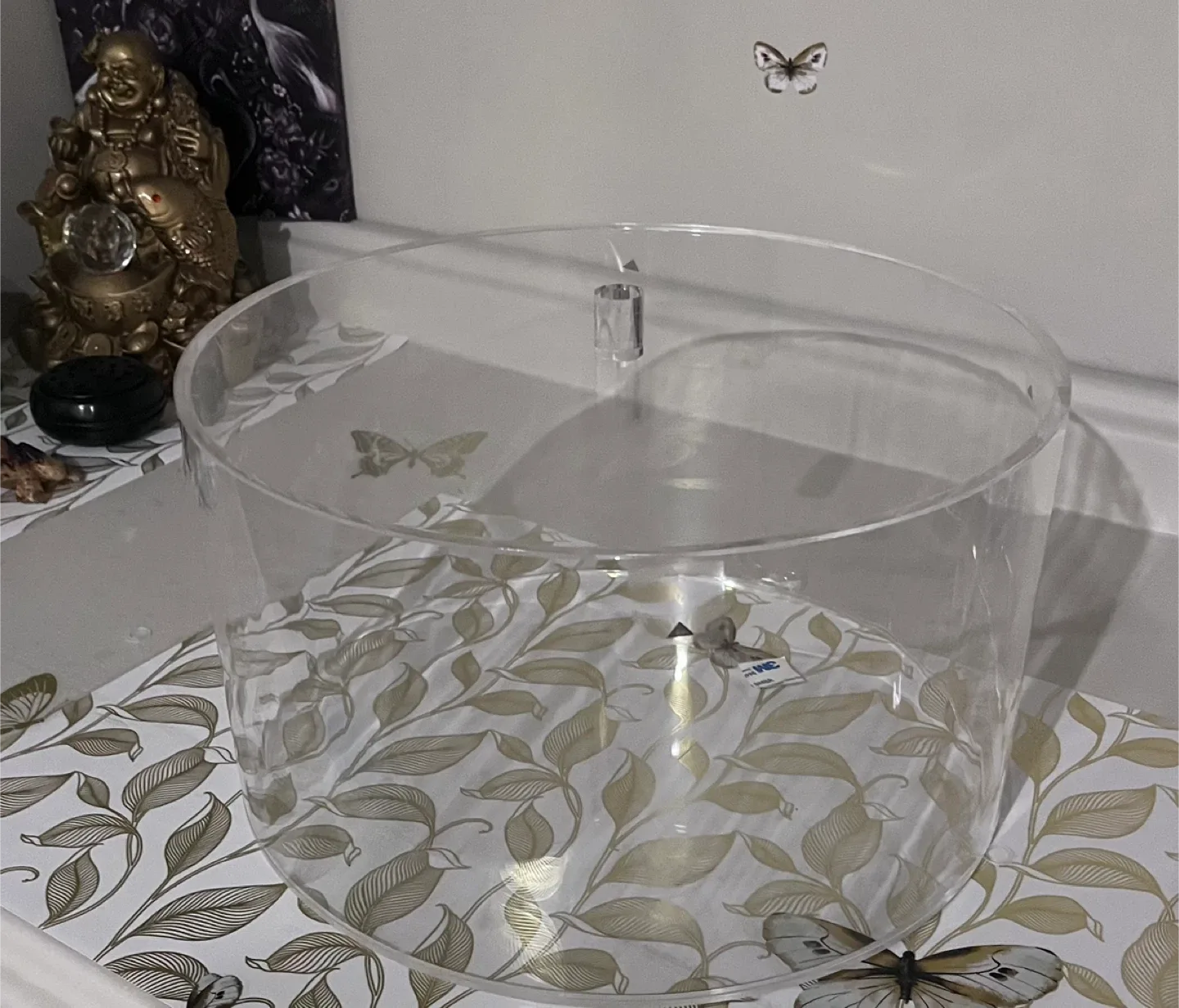 Clear Acrylic Display Case thumbnail