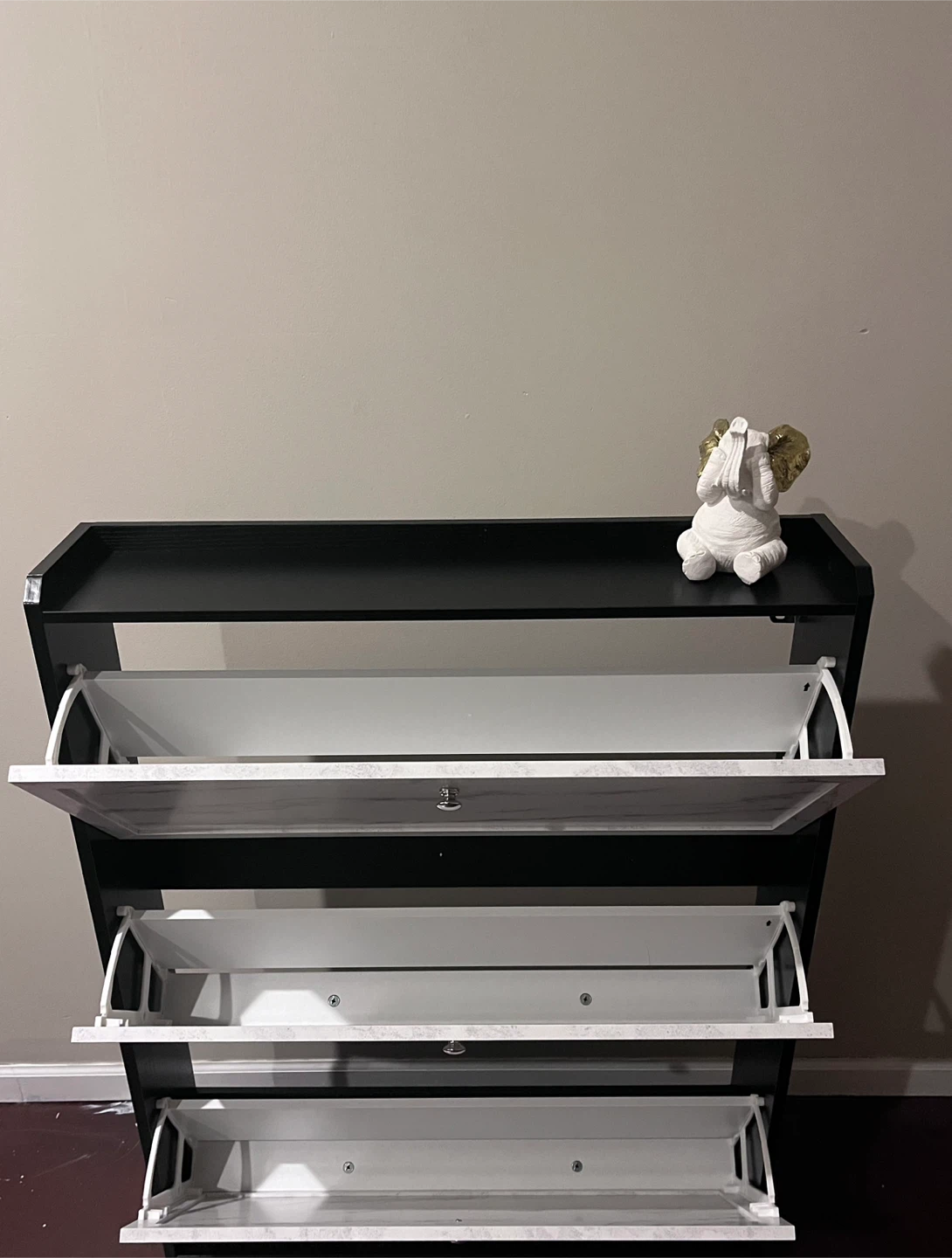 Shoe Storage Cabinet