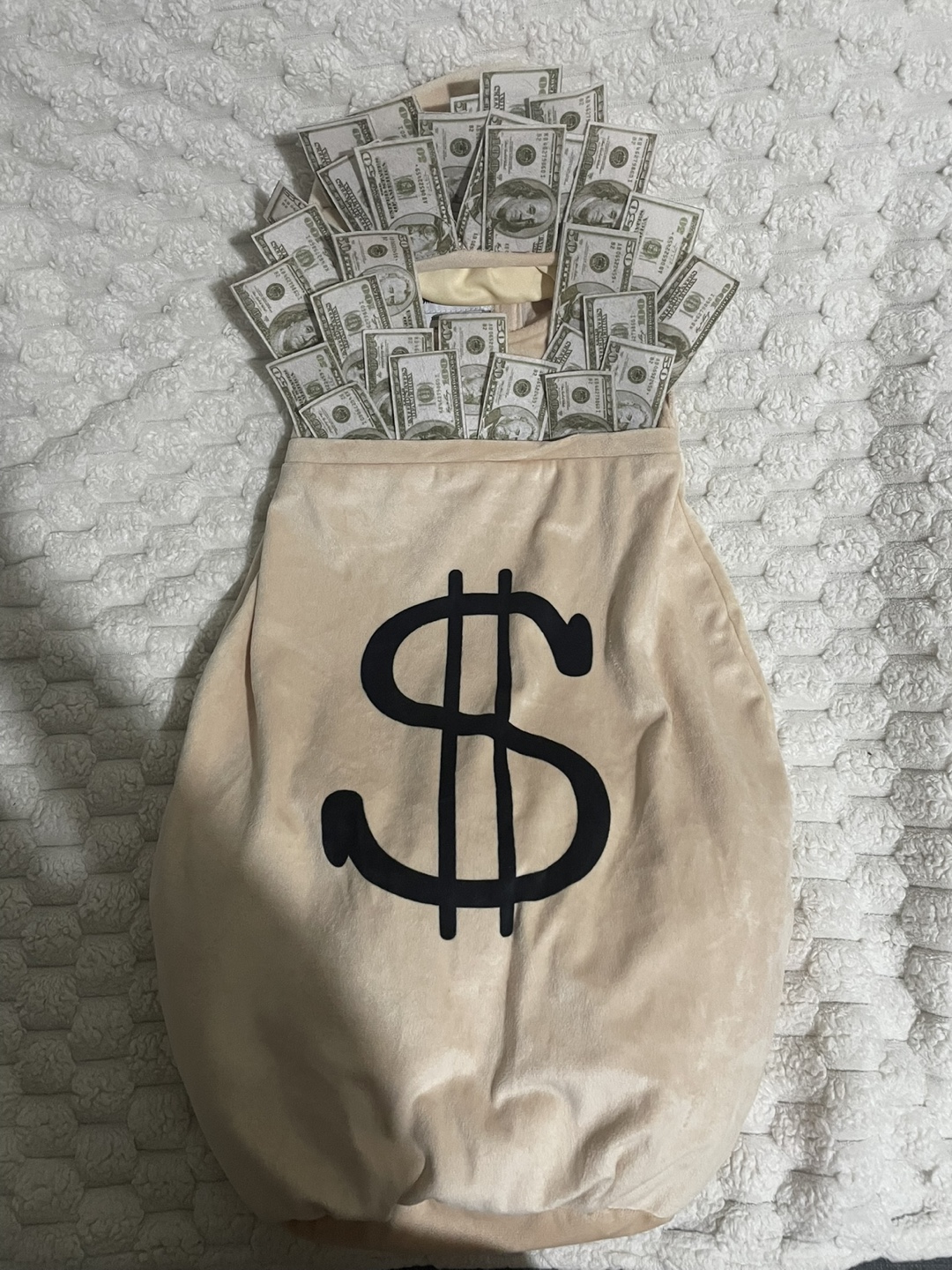 Money Bag Costume - photo 2