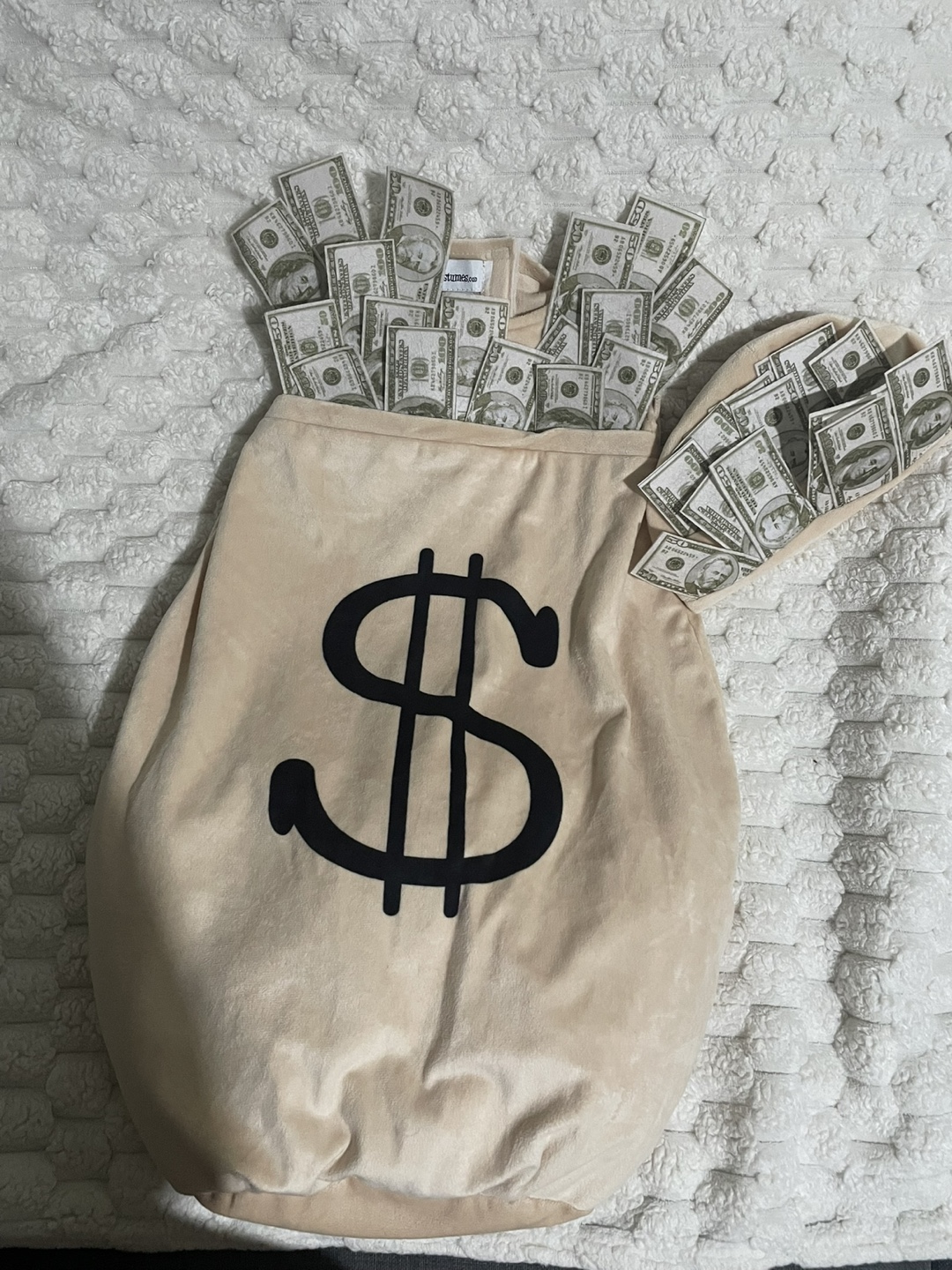 Money Bag Costume