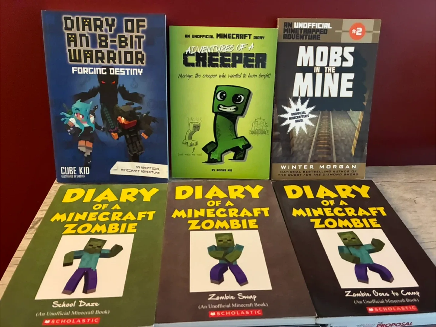 Minecraft Diary Book Lot