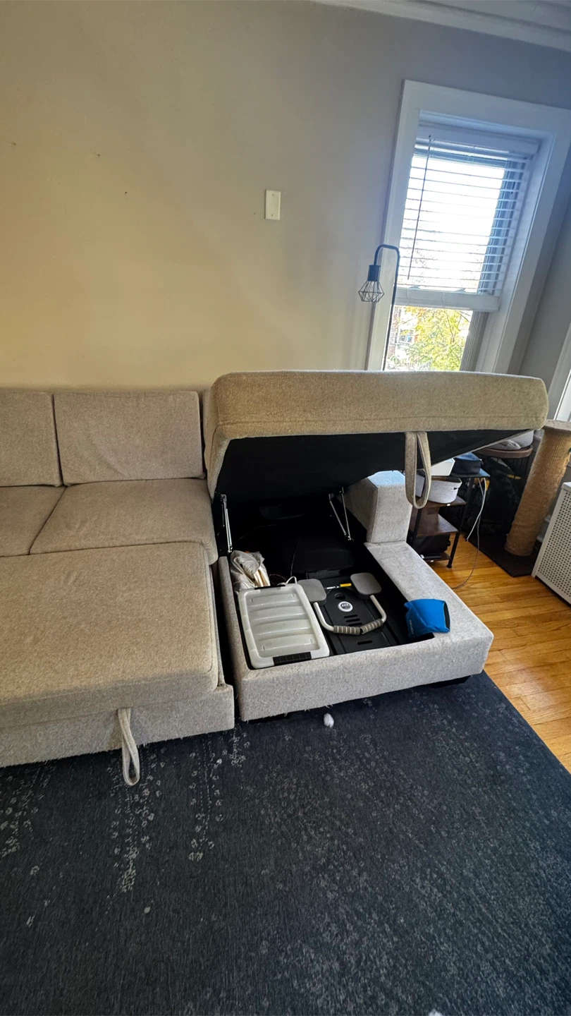 Beige Sectional Sofa with Pull-Out Bed - photo 5