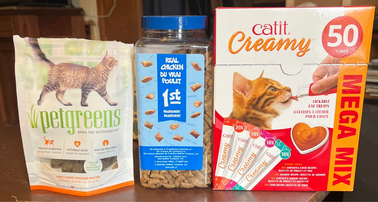 Looking for cat supplies - photo 5