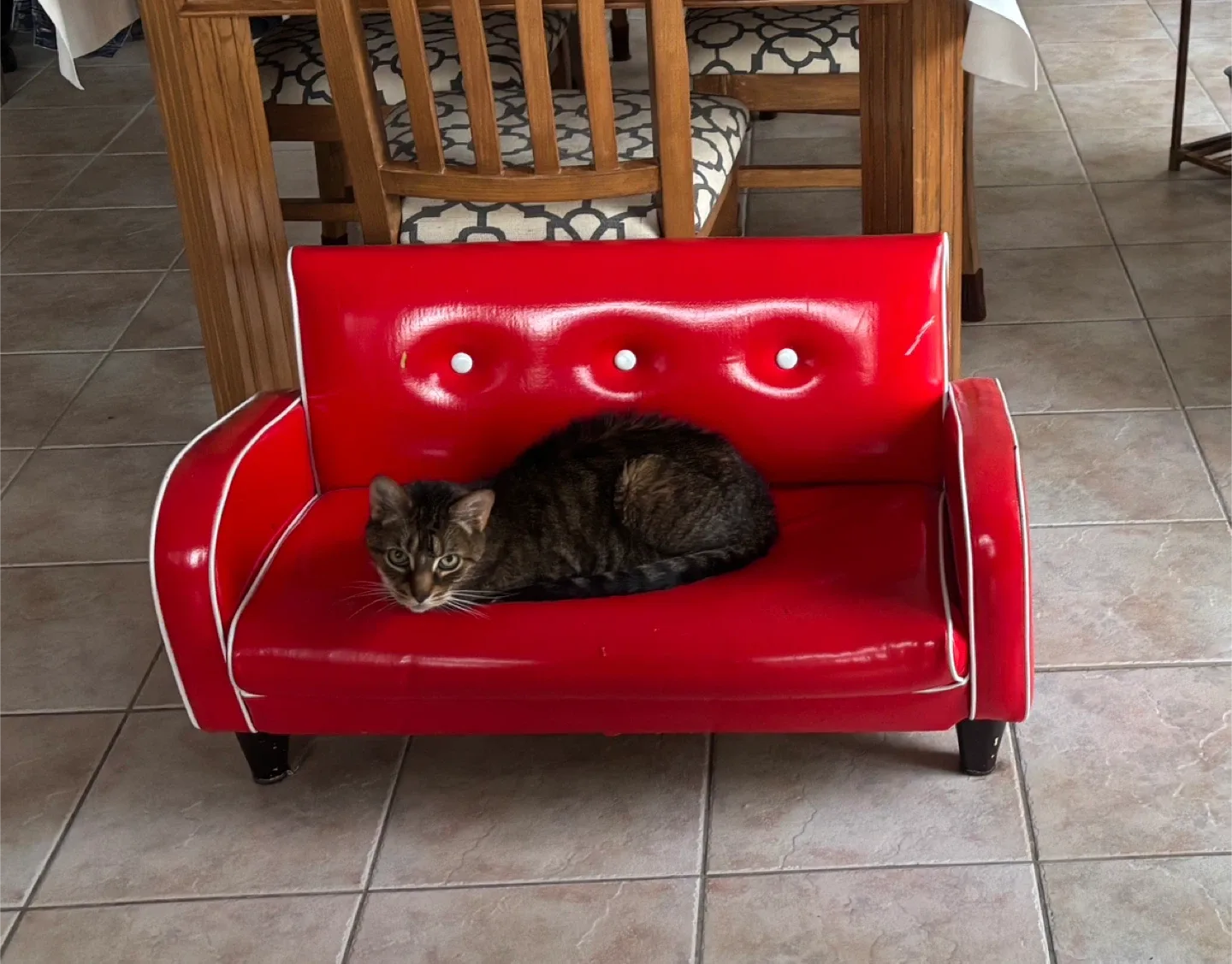 Red Vinyl Retro Style Sofa/pet bed image indicator(3)