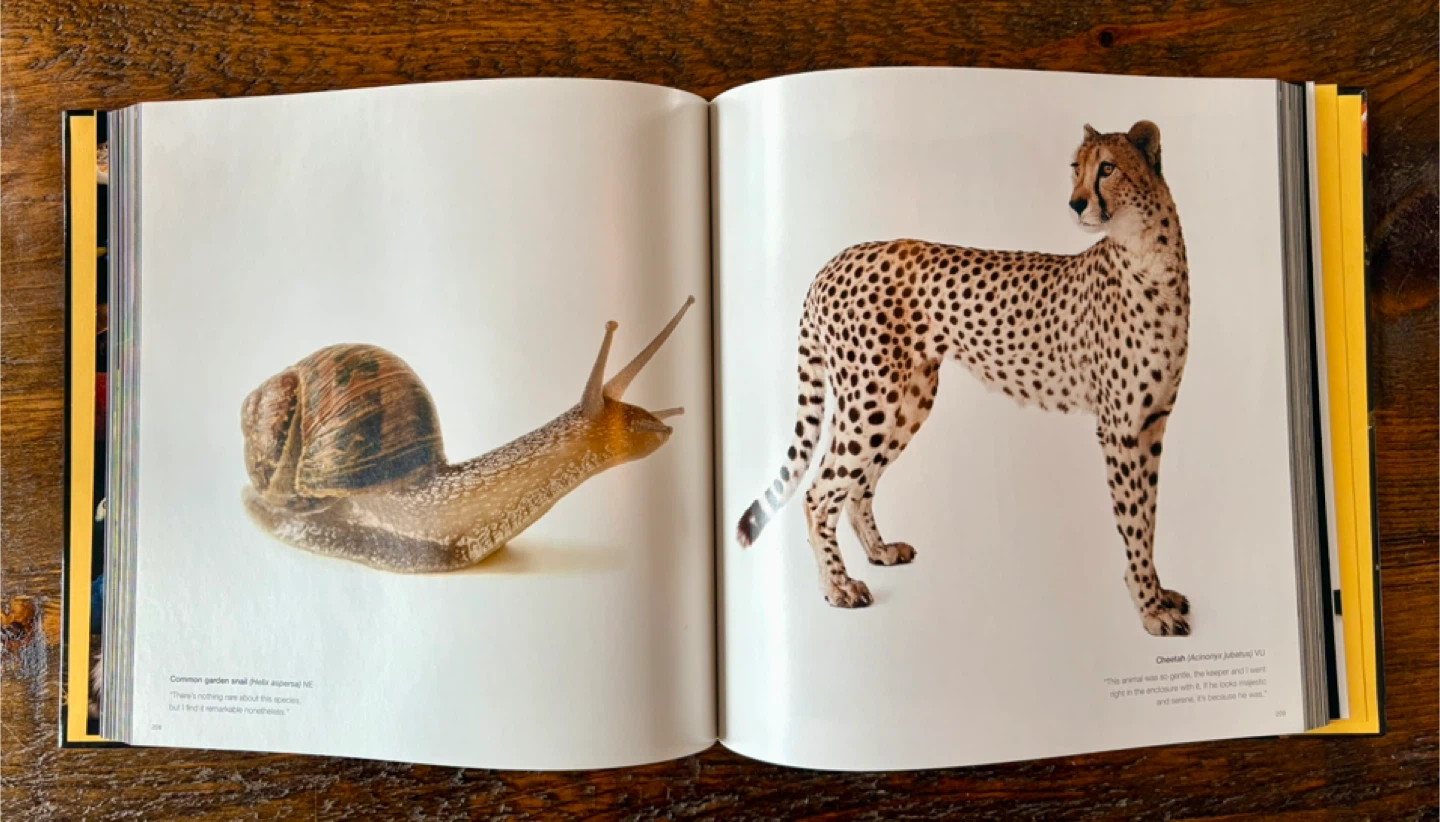 The Photo Ark - photo 3