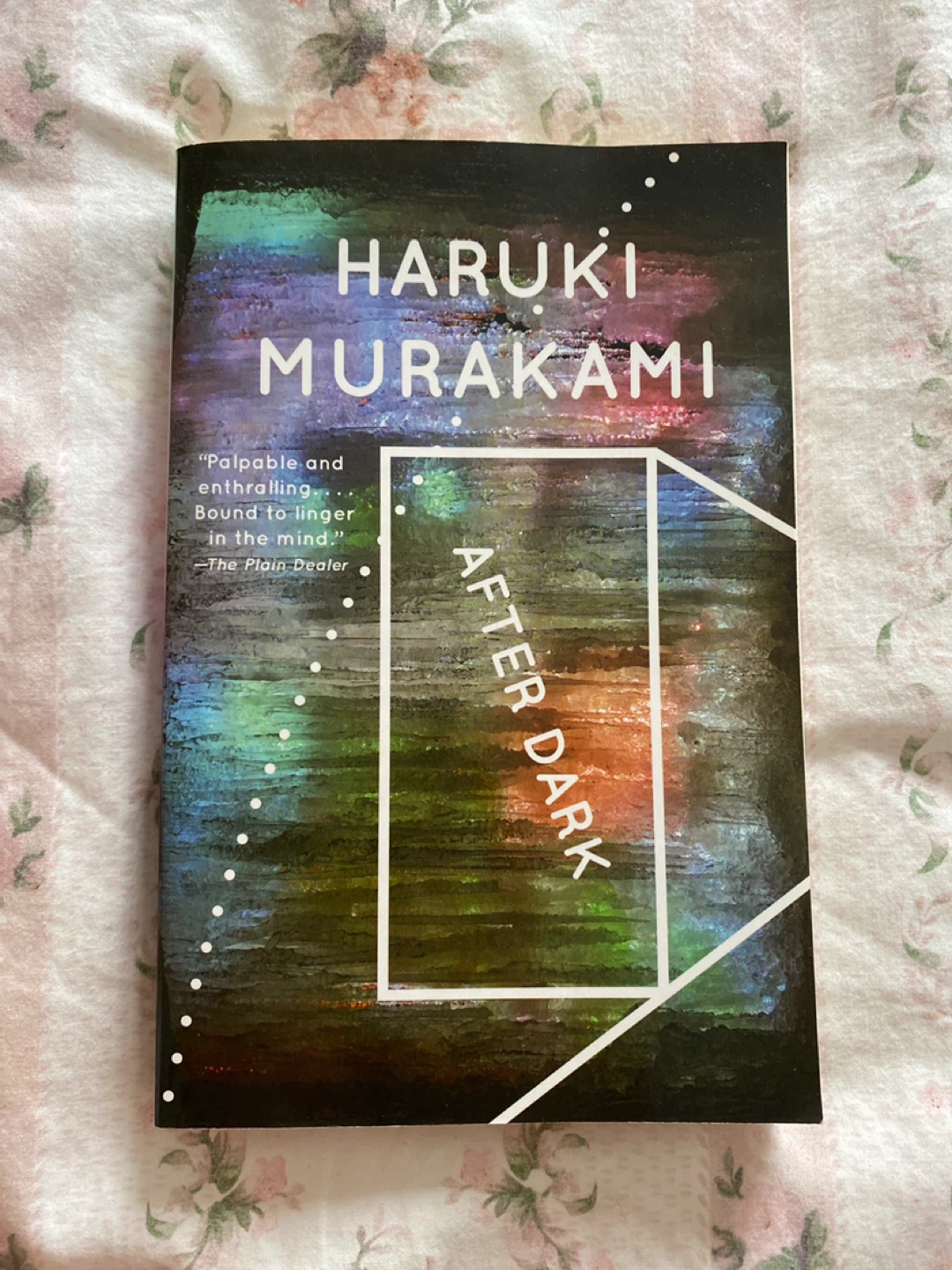 after dark book by haruki murakami