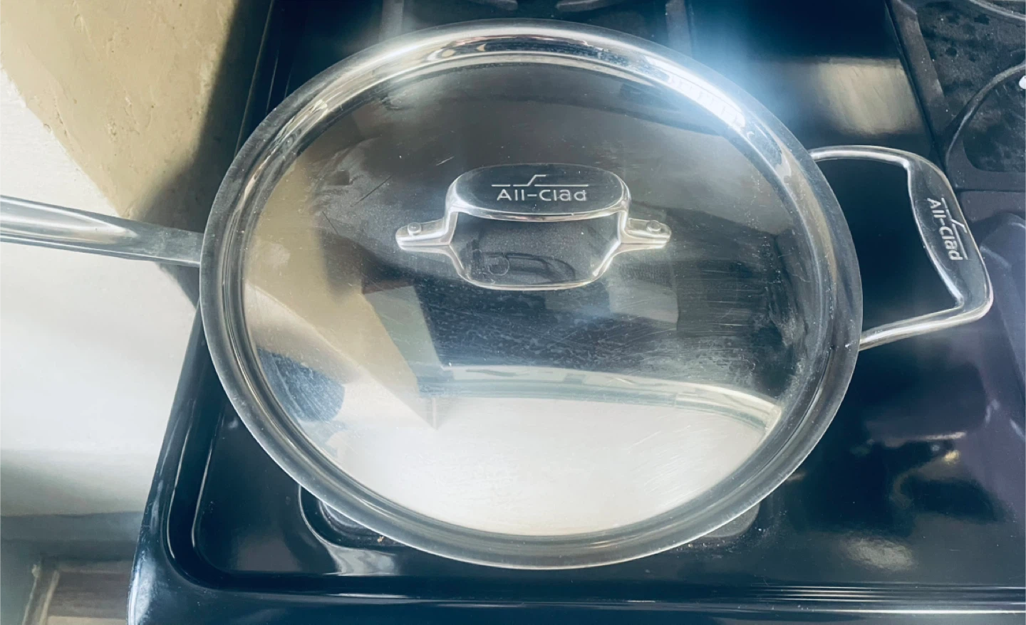 All-Clad Stainless Steel Saucepan with Lid