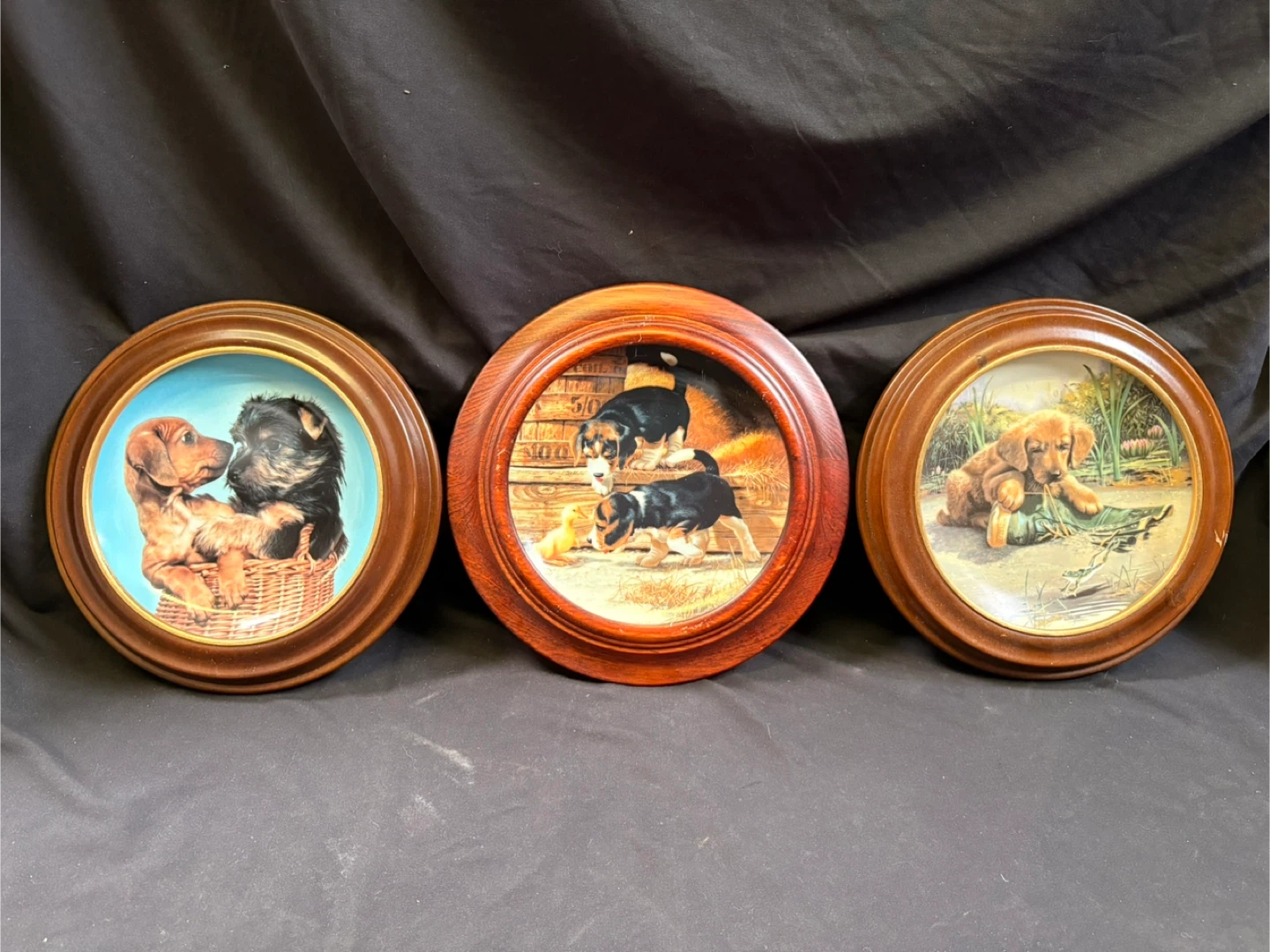 Armstrong's 'Puppy Pals' Collector Plates (Set of 3)