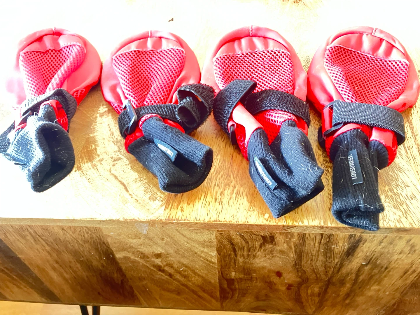 Dog boots