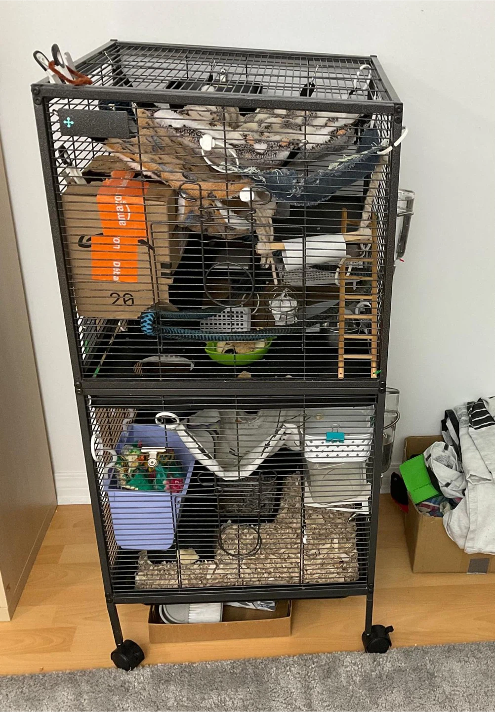 Three pet rats- cage included