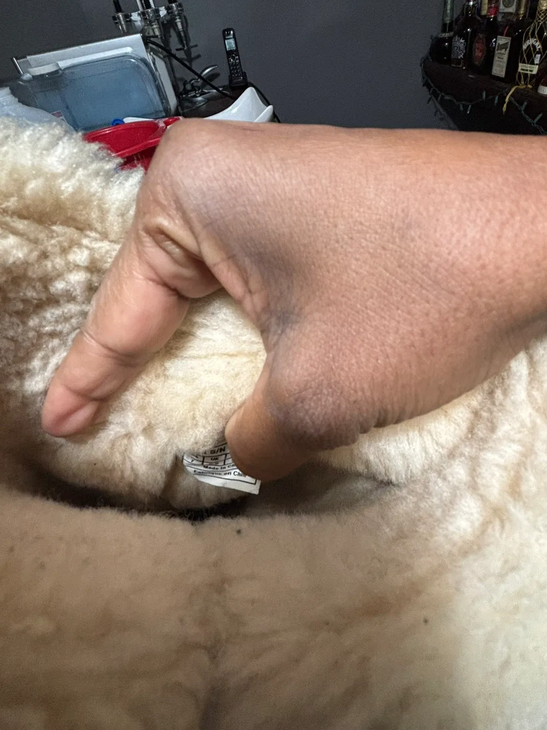 UGG Boots Size 7 image indicator(4)