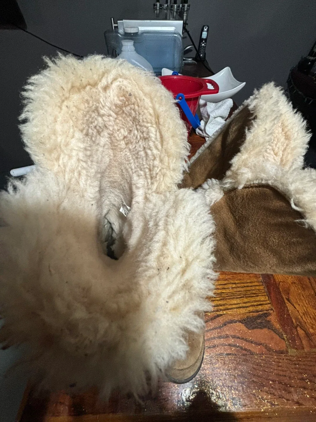 UGG Boots Size 7 image indicator(2)