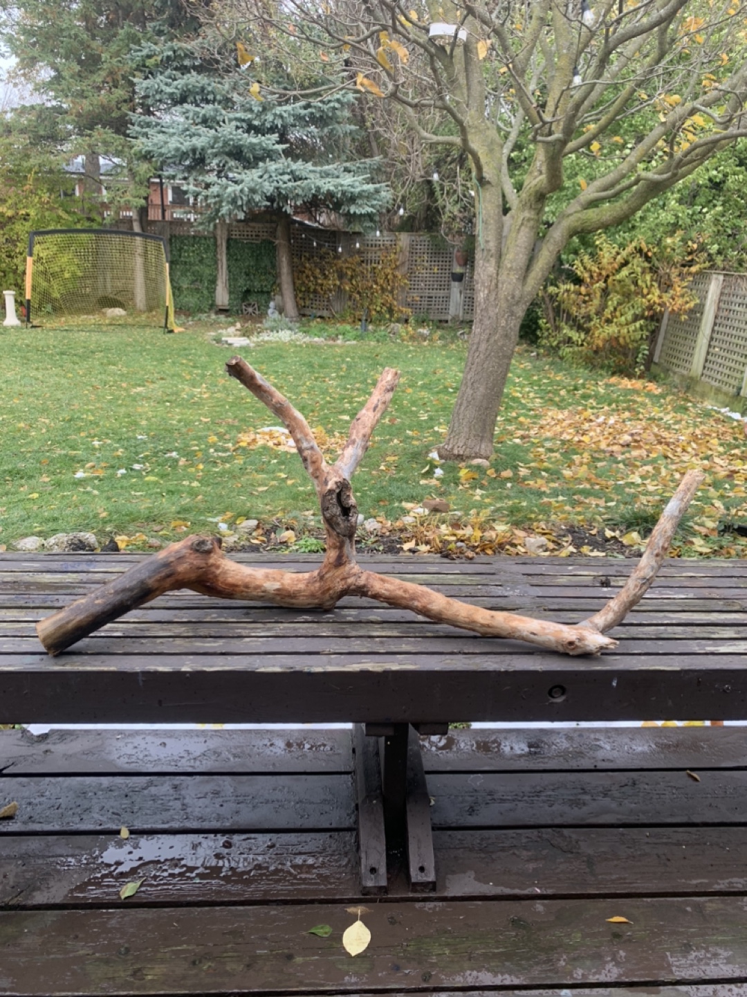 Driftwood Pieces - photo 2