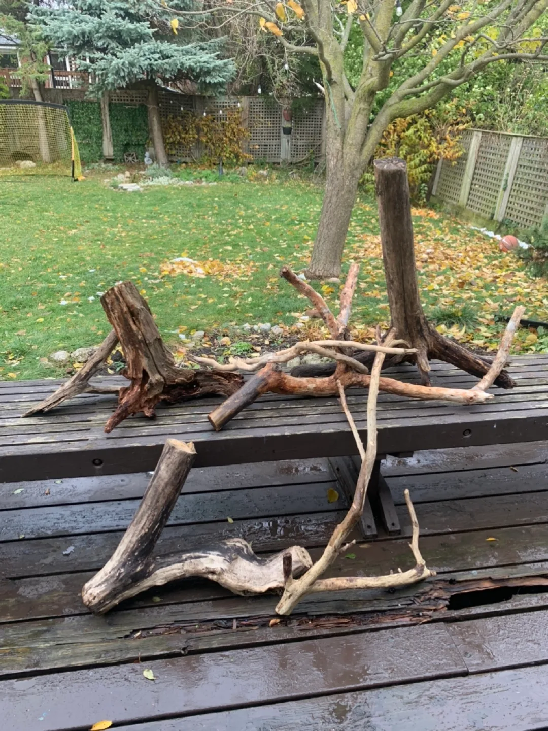 Driftwood Pieces