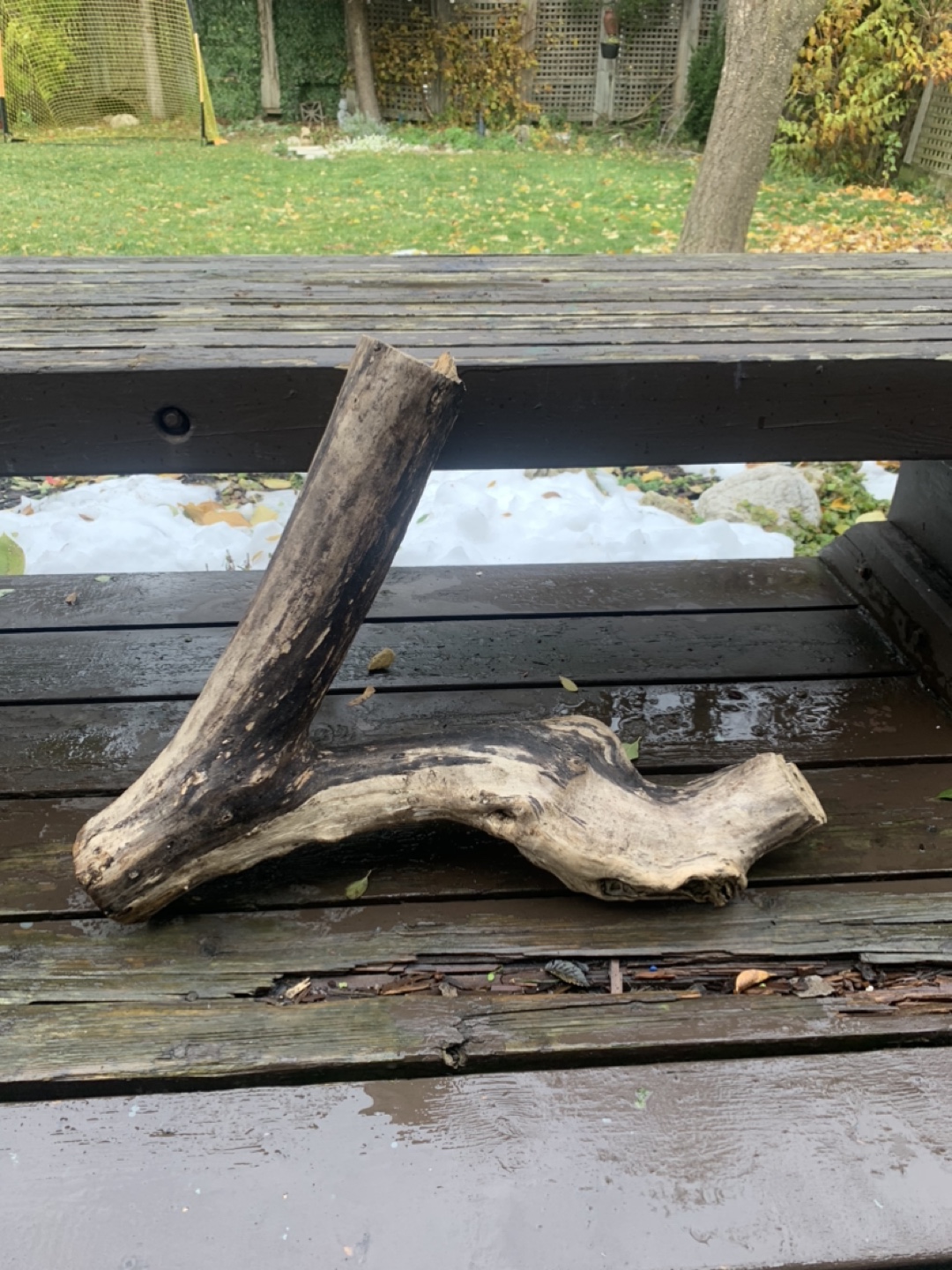 Driftwood Pieces - photo 5