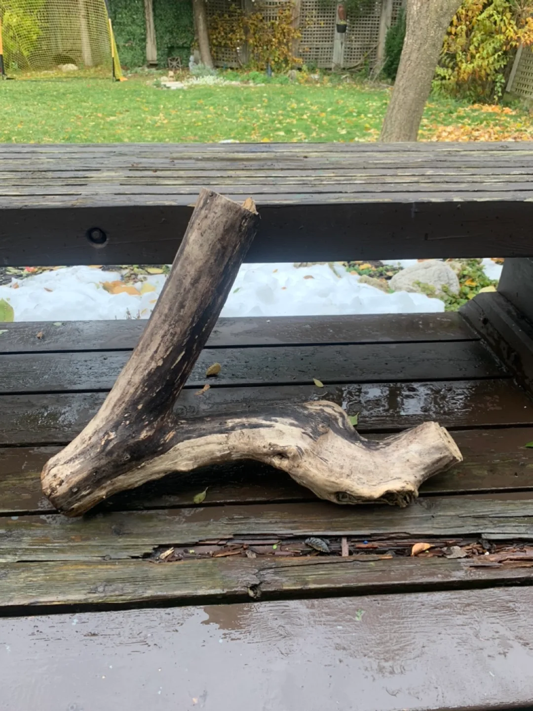 Driftwood Pieces image indicator(5)