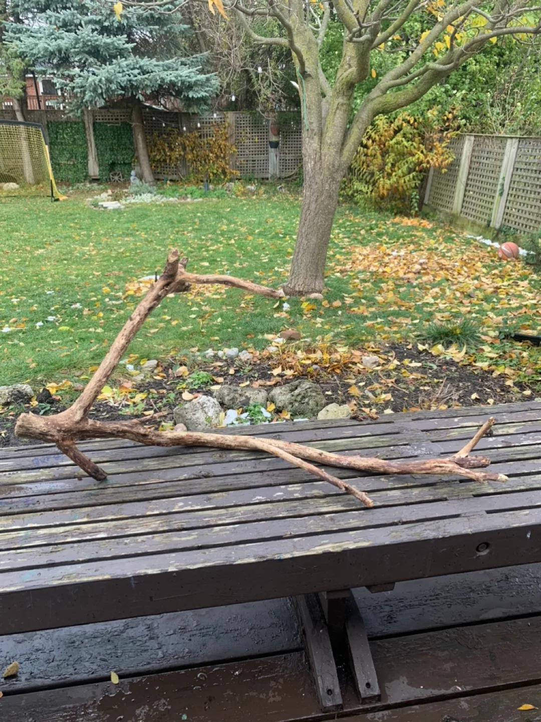 Driftwood Pieces image indicator(3)