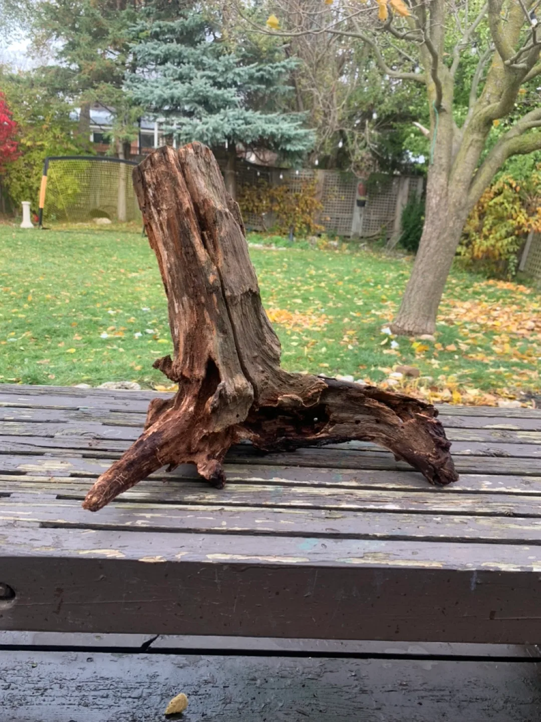 Driftwood Pieces image indicator(6)