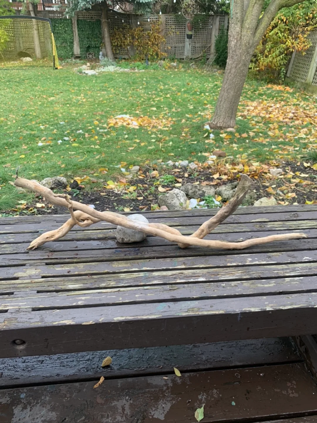 Driftwood Pieces image indicator(8)