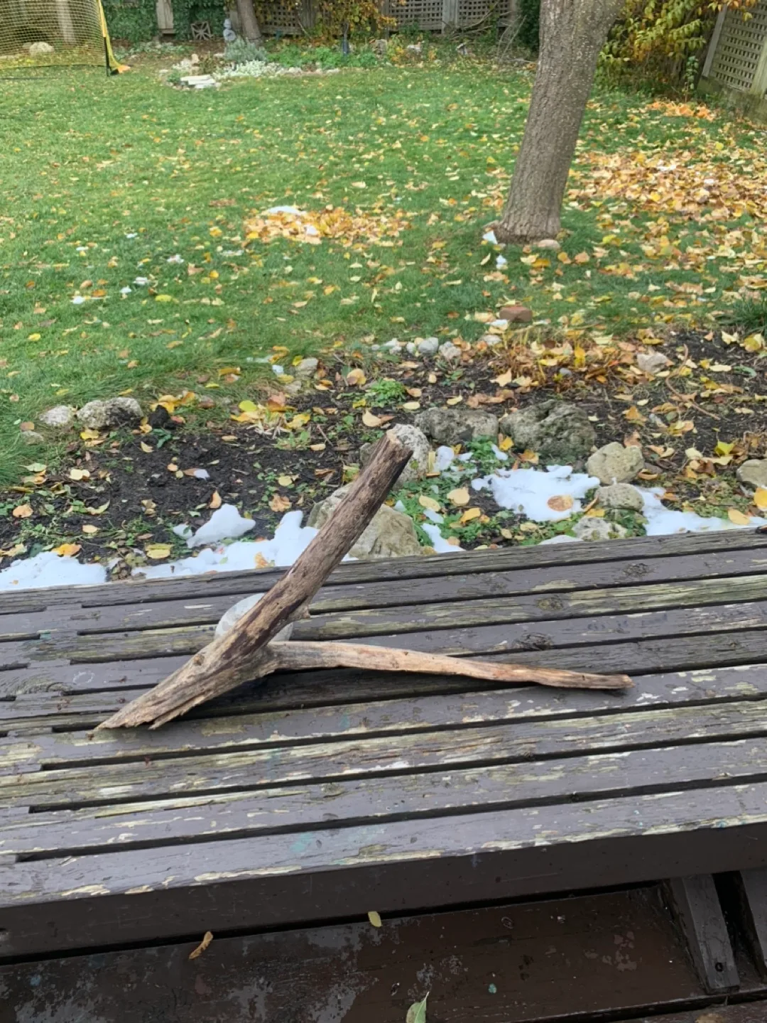 Driftwood Pieces image indicator(7)