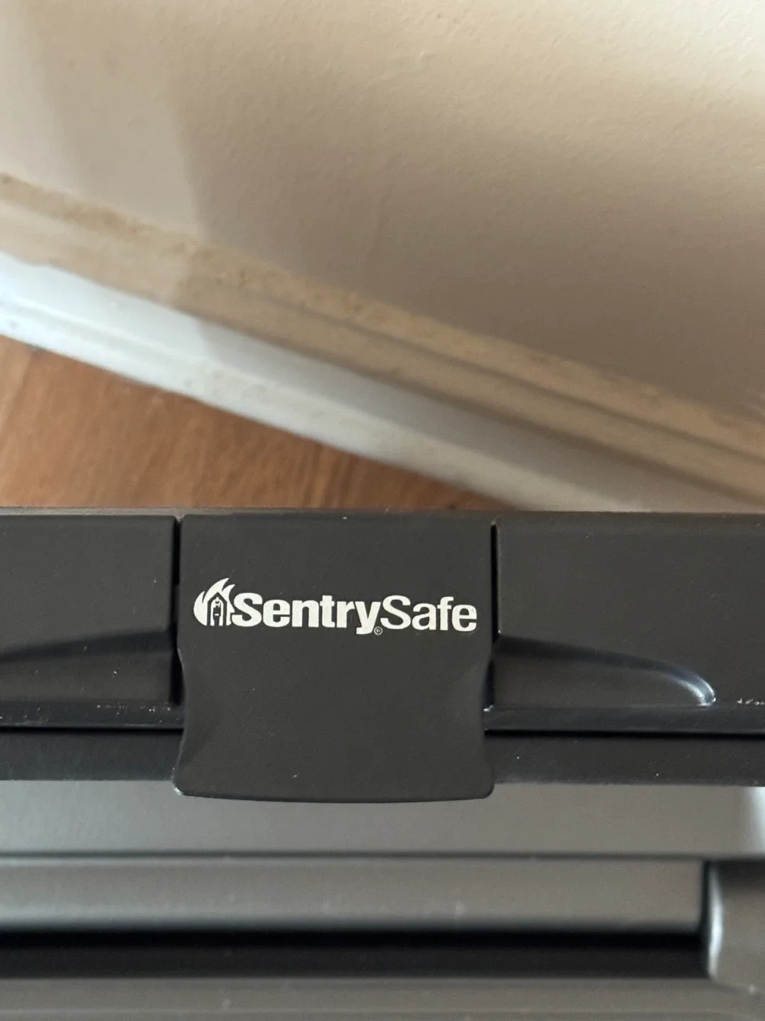 SentrySafe Fireproof Safe image indicator(3)