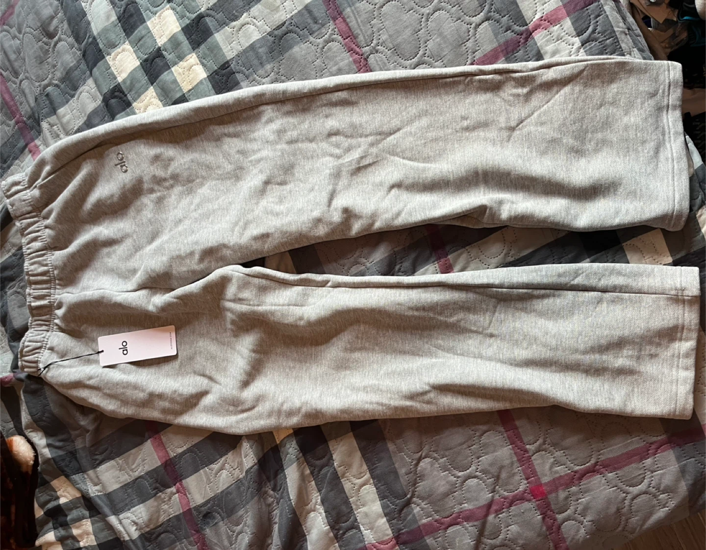 ALO Grey Sweatpants & Hoodie Set - photo 2