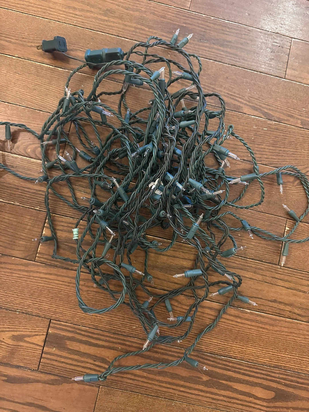 String of Christmas Lights