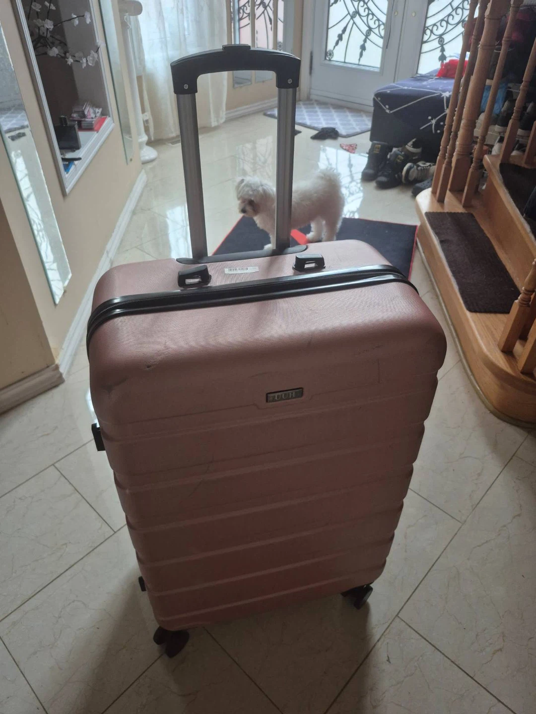 Pink Luggage Bag