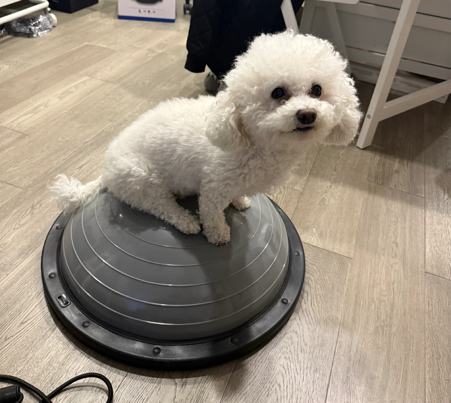 NICE Balance Trainer Ball with Resistance Bands - photo 3