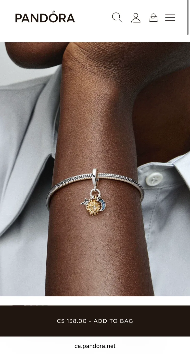 Pandora bangle & charms image indicator(9)