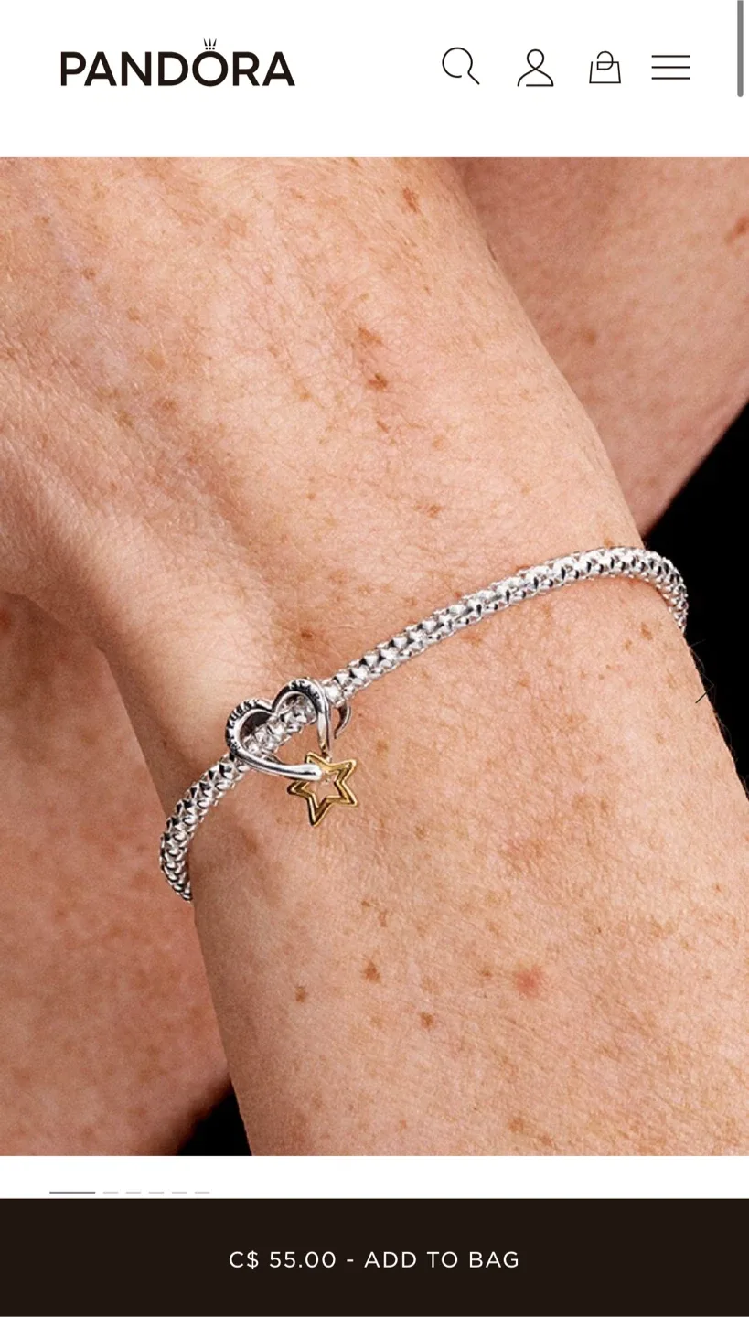 Pandora bangle & charms image indicator(10)