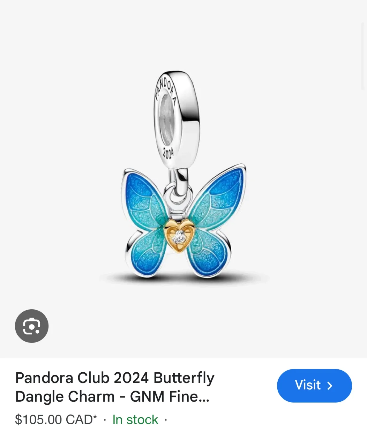 Pandora bangle & charms image indicator(8)