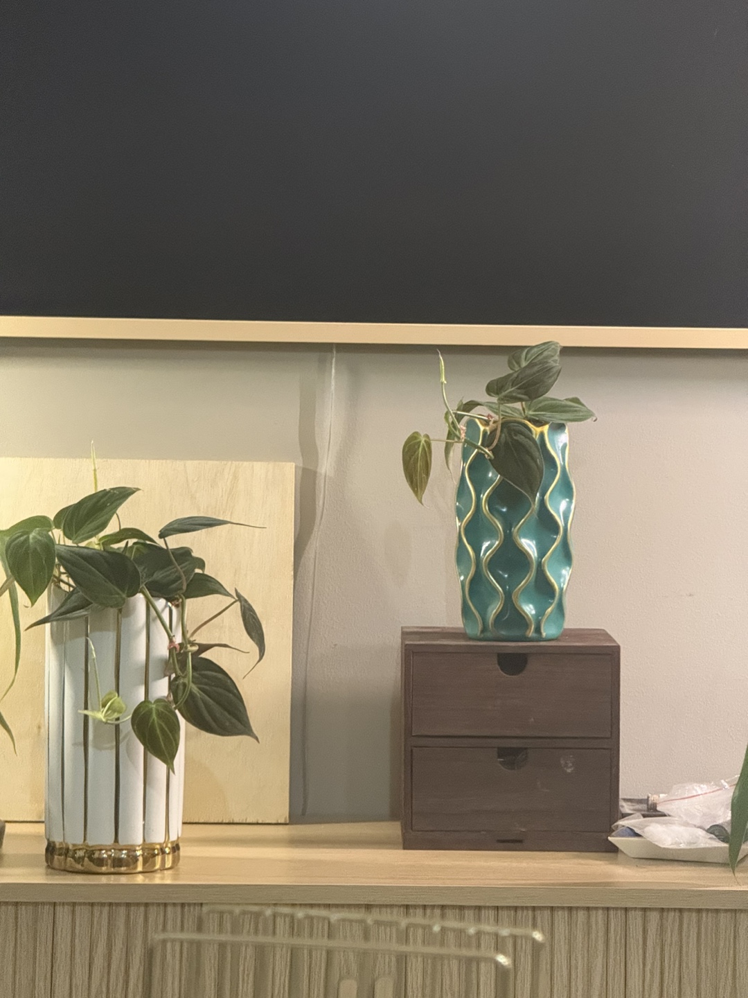 Philodendron micans Plant in Teal Vase