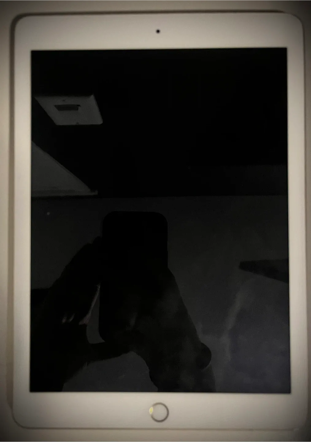 Apple iPad Gold image indicator(3)