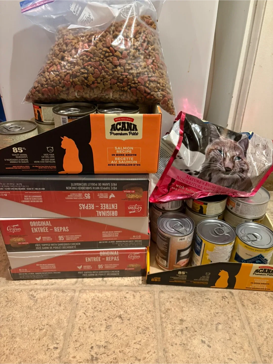 Free cat food 🐱 for cats in need only pls