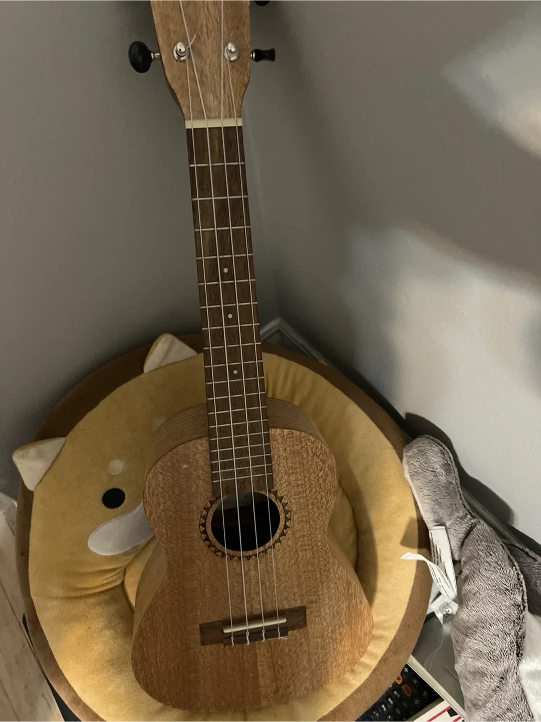 Kala Ukulele - Great Condition! image indicator(3)