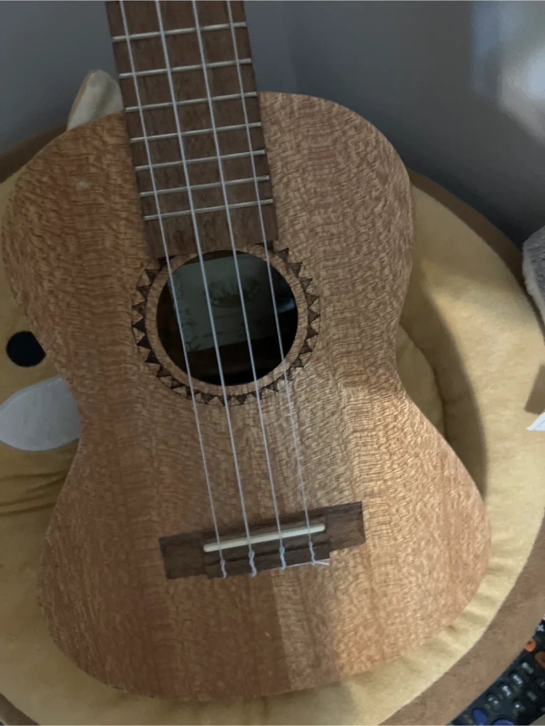 Kala Ukulele - Great Condition! image indicator(2)