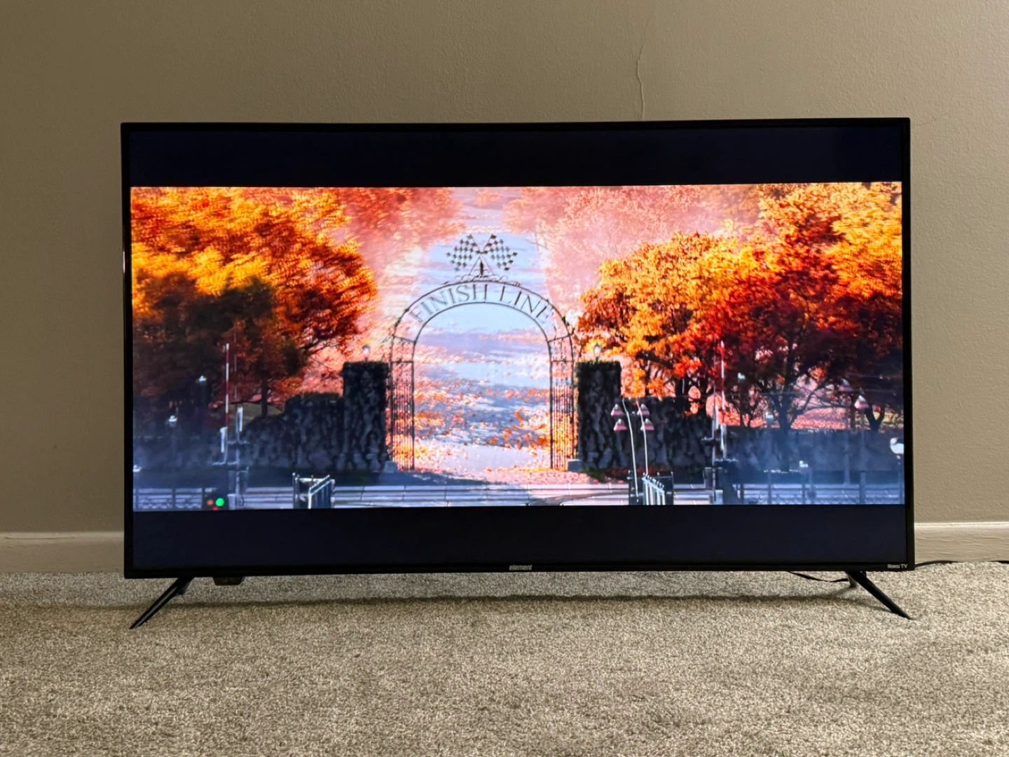 Roku TV - photo 5