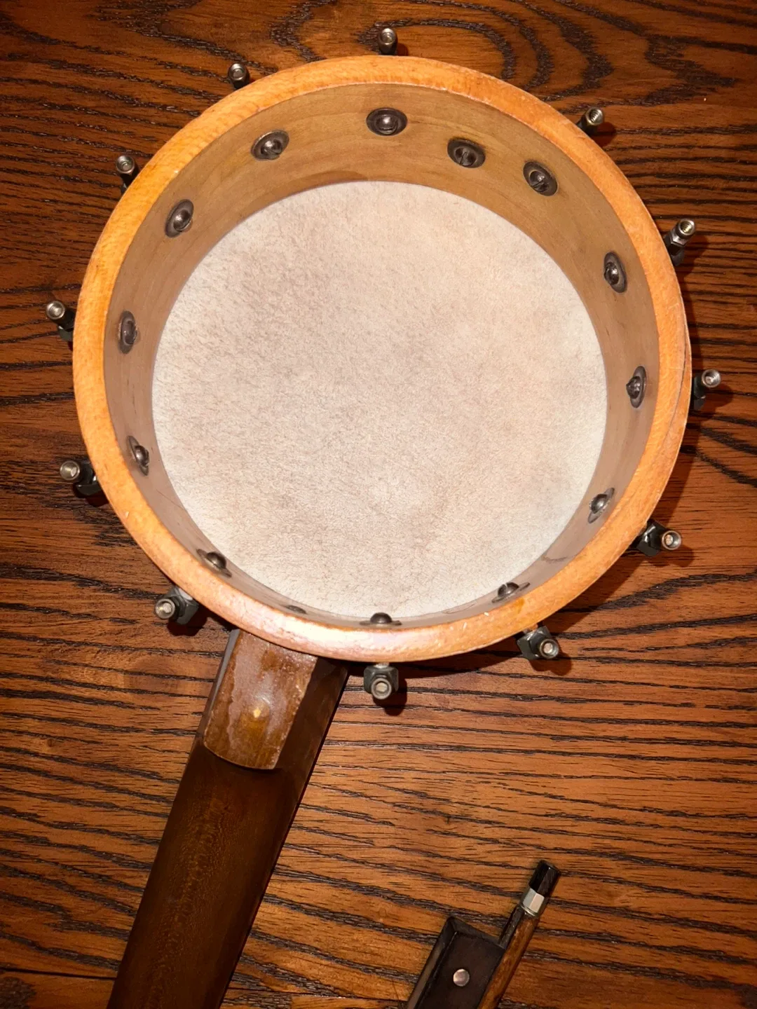 Vintage BanjoLele image indicator(3)