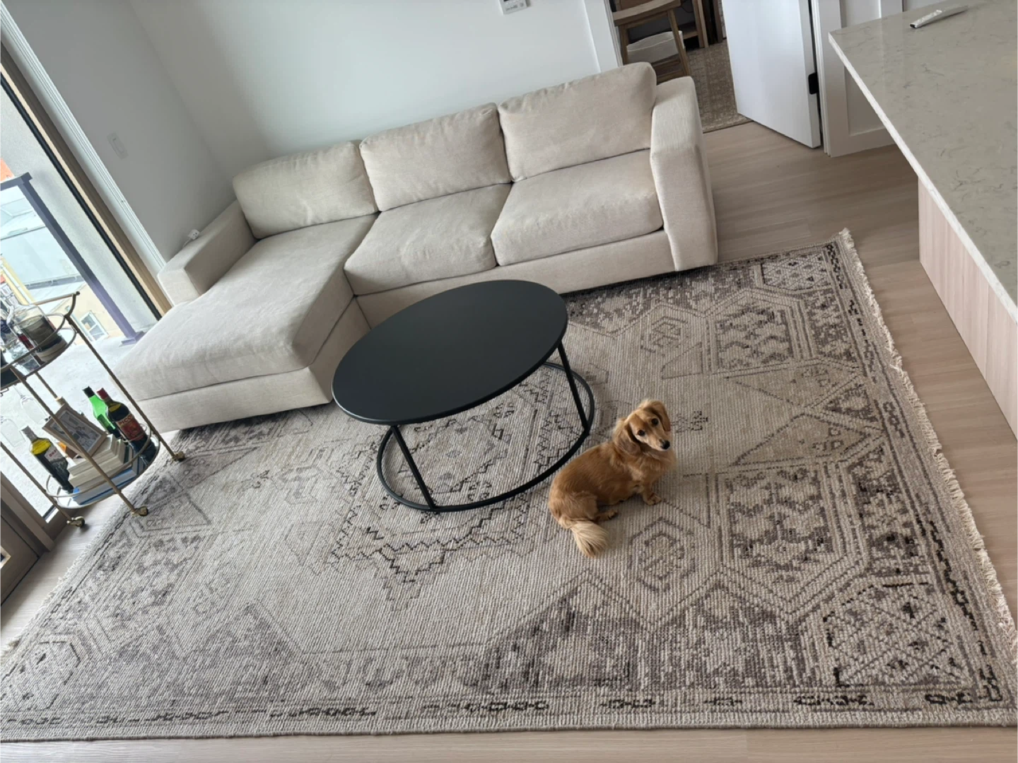 Threshold Knolls Persian Rug 7'x10' - photo 4