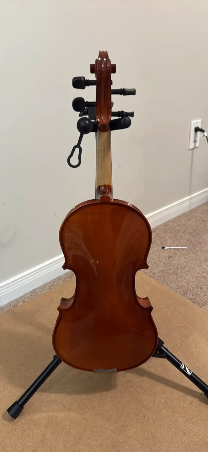 Violin image indicator(2)