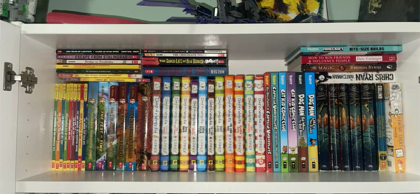 Mixed Children's Books Lot