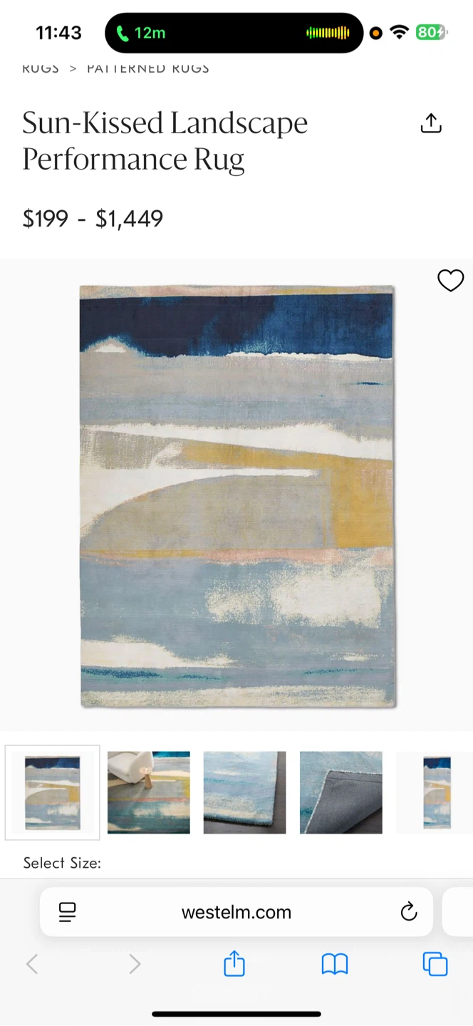 9x12 West Elm Rug (original price $700)