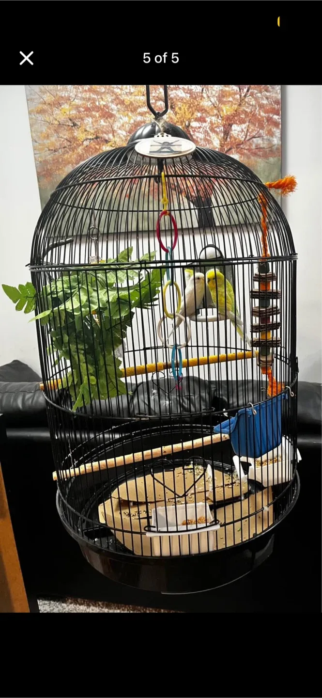 Bird cage with stand image indicator(3)