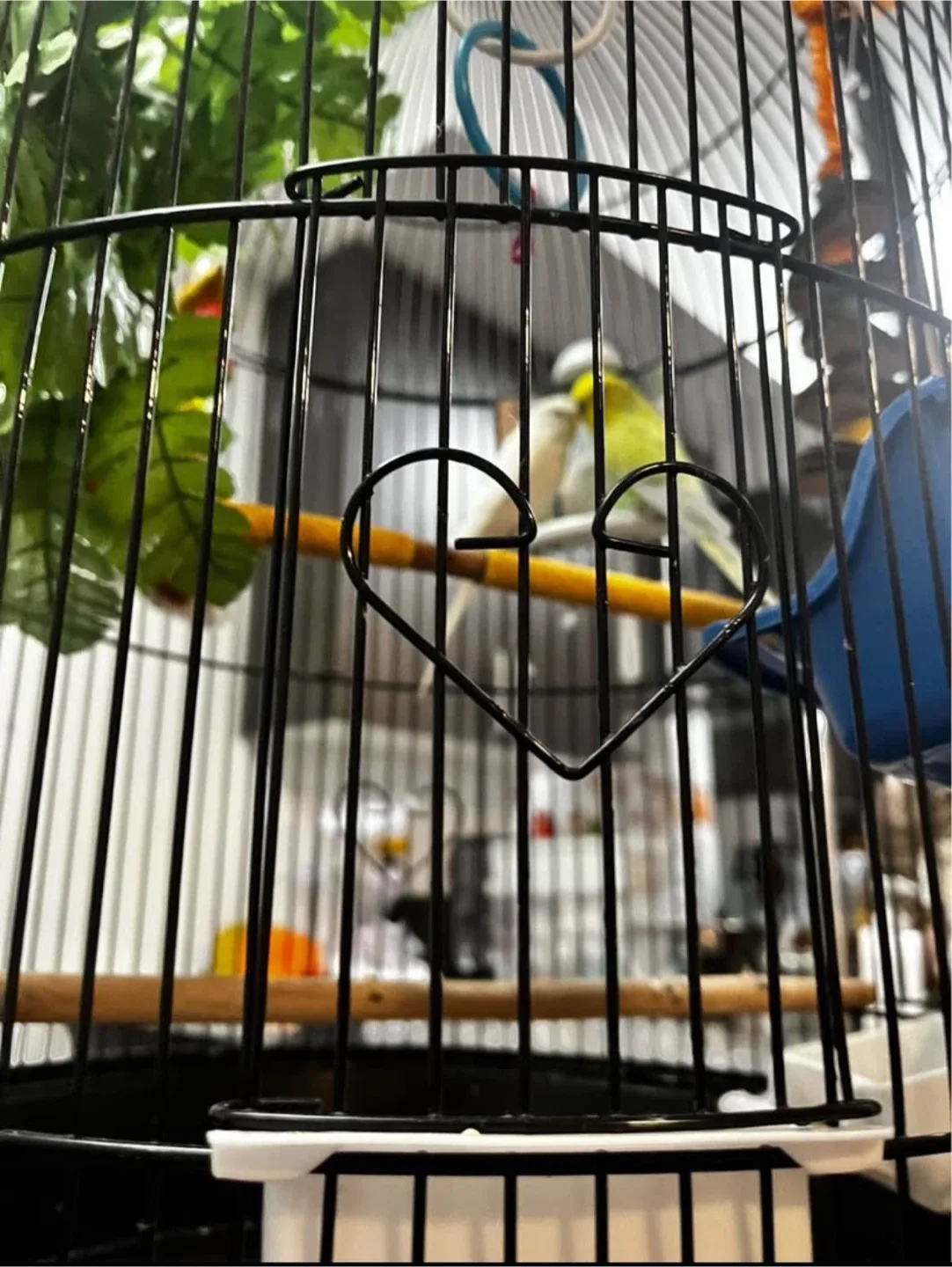 Bird cage with stand image indicator(2)